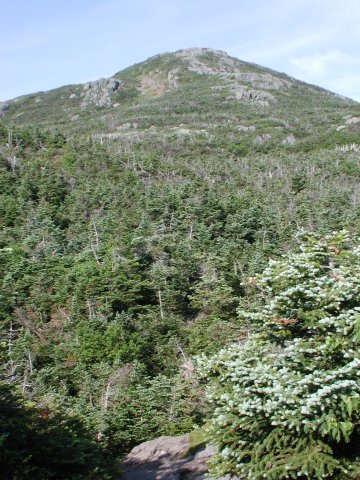 The Summit from the Trail