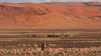DSC 2664  Dunes at Sunrise, Namib-Naukluft Park