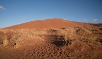 DSC 2708  Footprints and Dunes, Namib-Naukluft Park
