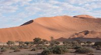 DSC 2745  Dunes, Namib-Naukluft Park