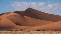 DSC 2757  "Big Daddy" Dune, Namib-Naukluft Park