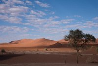 DSC 2759  Dunes, Tree and Clouds, Namib-Naulkuft Park