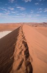 DSC 2779  Footprints in the Sand, Namib-Naukluft Park