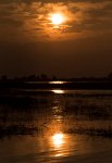 DSC 3964  Approaching Sunset, Chobe River