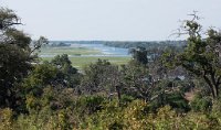 DSC 4335  Chobe River and Trees, Botswana