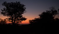 DSC 4696  Sunset, Chobe Park, Botswana