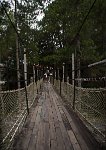 DSC 1067  Hanging Footbridge at Lunch Stop near Kinabalu Park