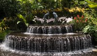 DSC 1597  Fountain, Singapore Botanical Garden