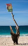 DSC 3785  Snag and Flag, Puka Beach, Boracay, Philippines