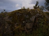 DSC 4919  Moss on Rocks, Bergen