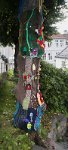 DSC 5038  Decorated Trees, Bergen