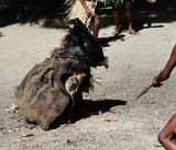 DSC 2029  Pig Costume, Doini Island, PNG