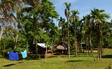 DSC 3086  Village among the Palms, Kiriwani