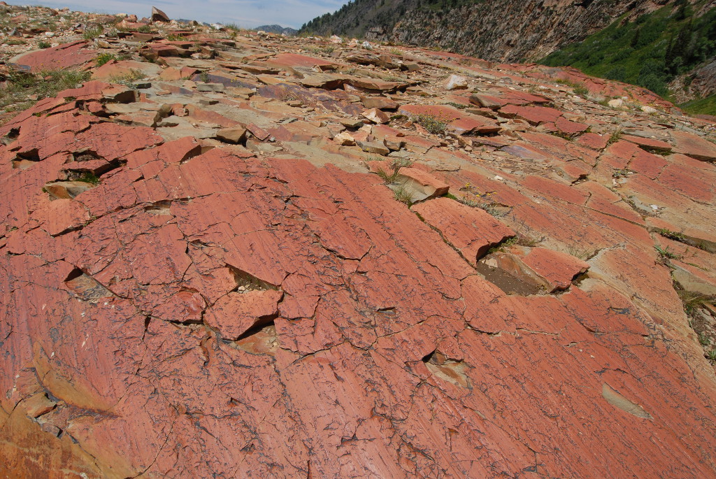 Glacial Polish on Rock Ledge above Lake Blanche