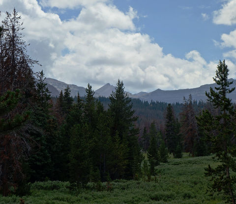 First View of Kings Peak from the Trail