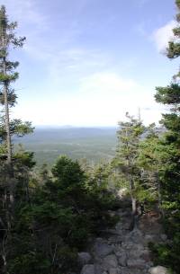 Abol Creek Trail