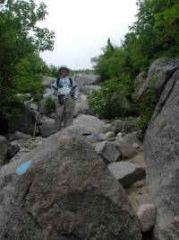 Abol Creek Trail