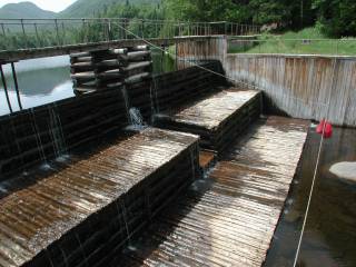 Bearbags Hanging at Marcy Dam
