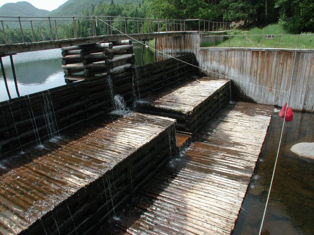 Bear Bags Hanging at Marcy Dam