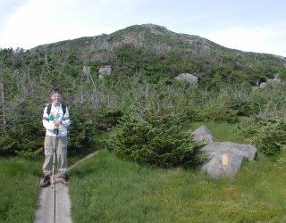Boardwalks Protecting Subalpine Vegetation