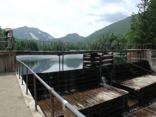 Marcy Dam