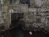DSC_2111