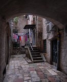 DSC_3613