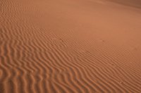DSC 2790  Ripples in the Sand