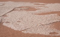 DSC 2839  Salt Pan Textures