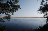 DSC 4221  Trees and Chobe River
