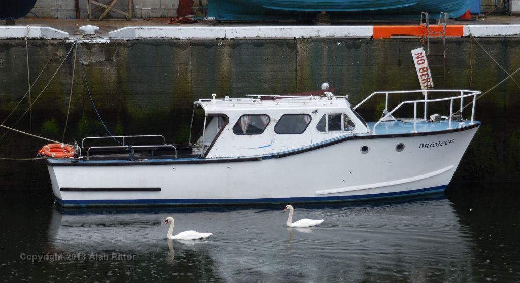 DSC_3120.JPG - Swans in the Rain, Douglas, Isle of Man