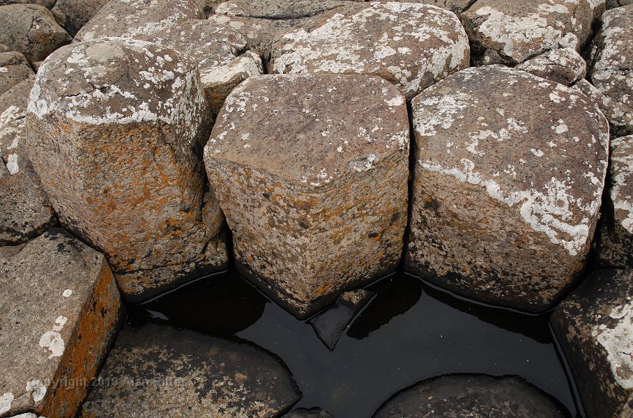 DSC_3326.JPG - Detail of Columnar Basalt, Giant's Causeway, Northern Ireland