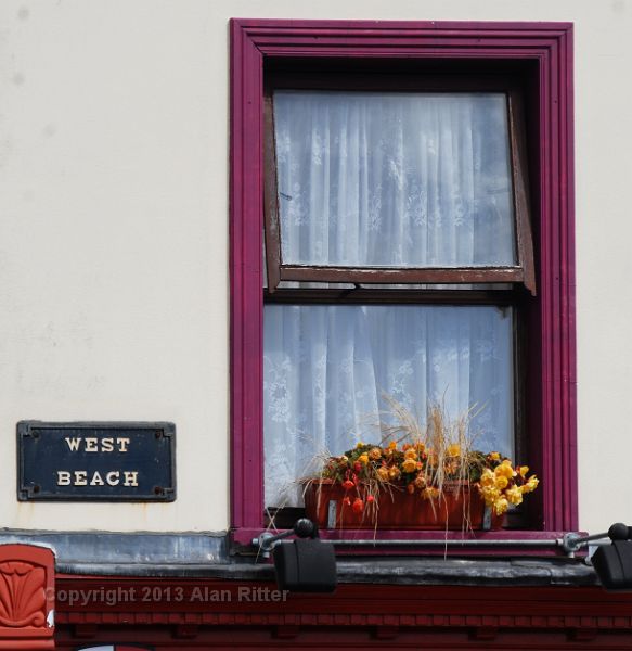 DSC_3857.JPG - Purple Windowframe with Flowers, Cobh, Ireland