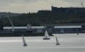 DSC_3980