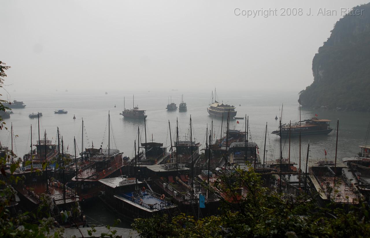 DSC_10477.jpg