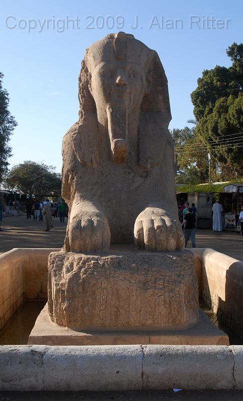 DSC_4784.JPG