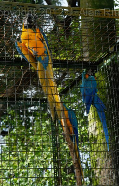 DSC_4627.JPG