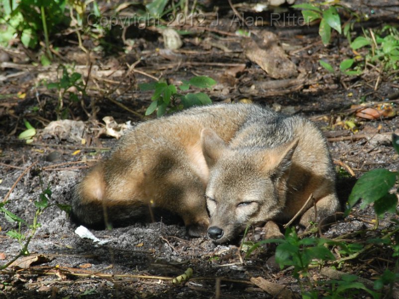 DSC_4632.JPG