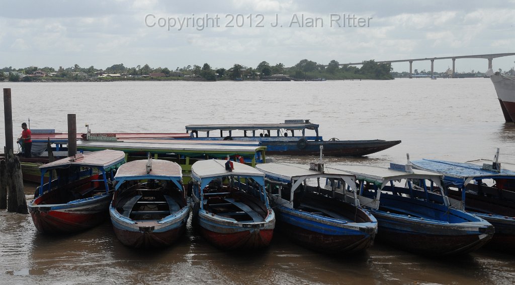 DSC_4731.JPG