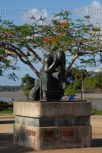DSC_4893.JPG