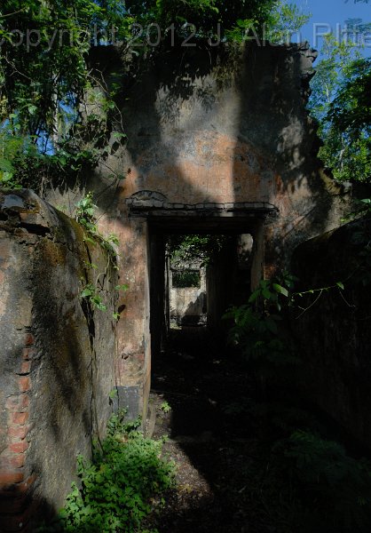 DSC_4984.JPG