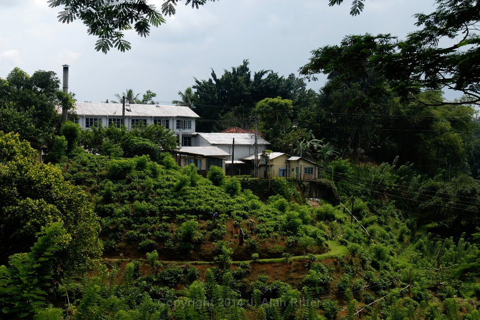DSC 4292