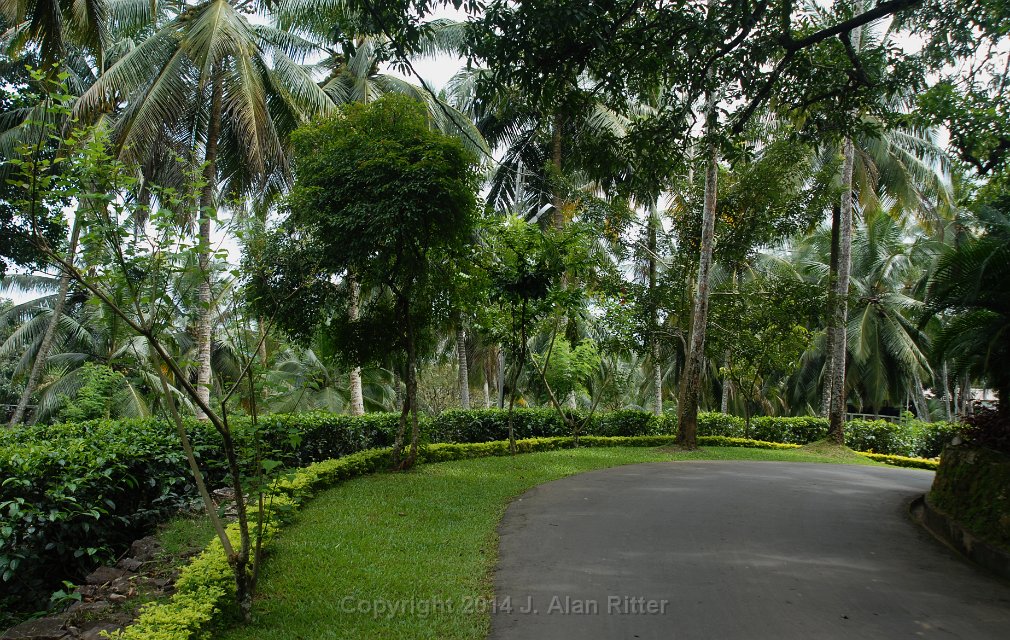 DSC 4355
