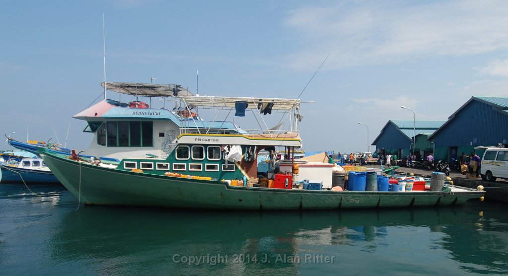 DSC 4511