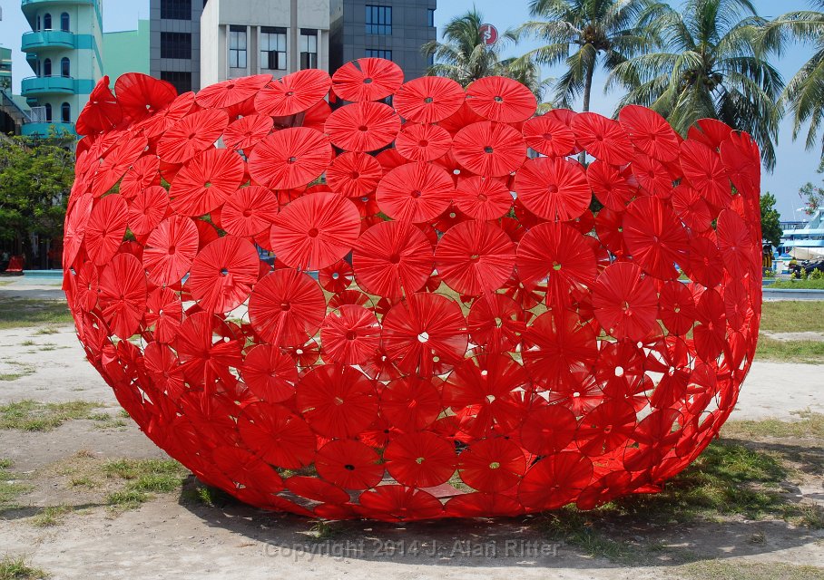 DSC 4539