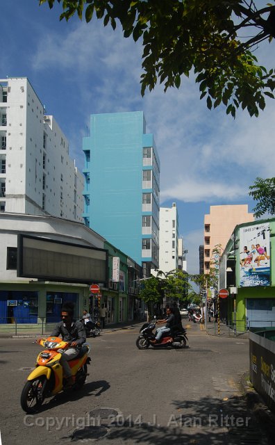 DSC 4558