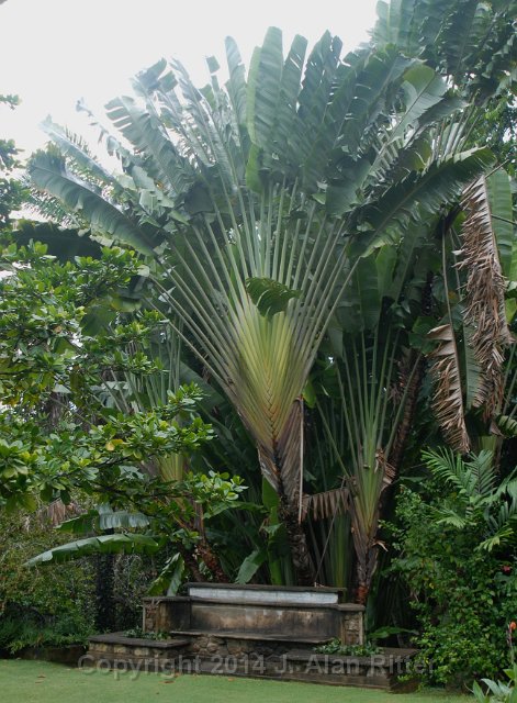 DSC 4801