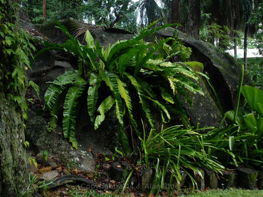 DSC 4824