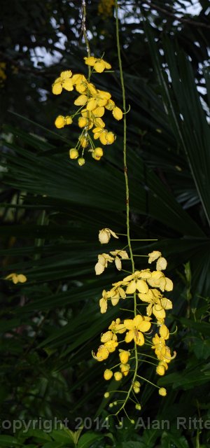 DSC 4839