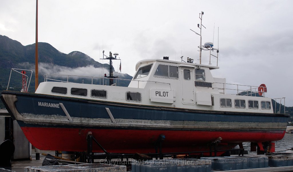 DSC 4845